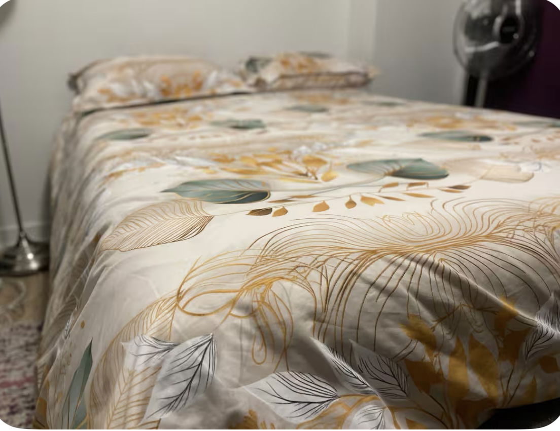 Chambre Chez L'habitant Longueuil 590714