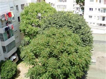 Colocation Toulon 208321-8