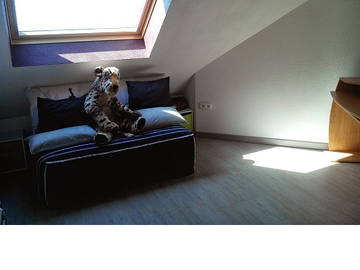 Logement Entier Uhlwiller 105886-6