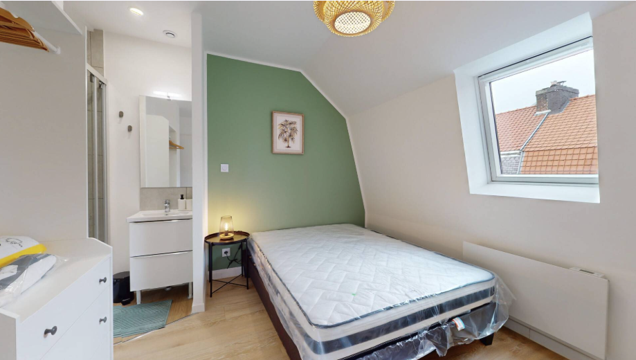 Kolokasie Lille 628804