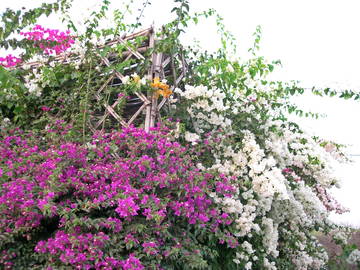 Logement Entier Agadir 161508-6