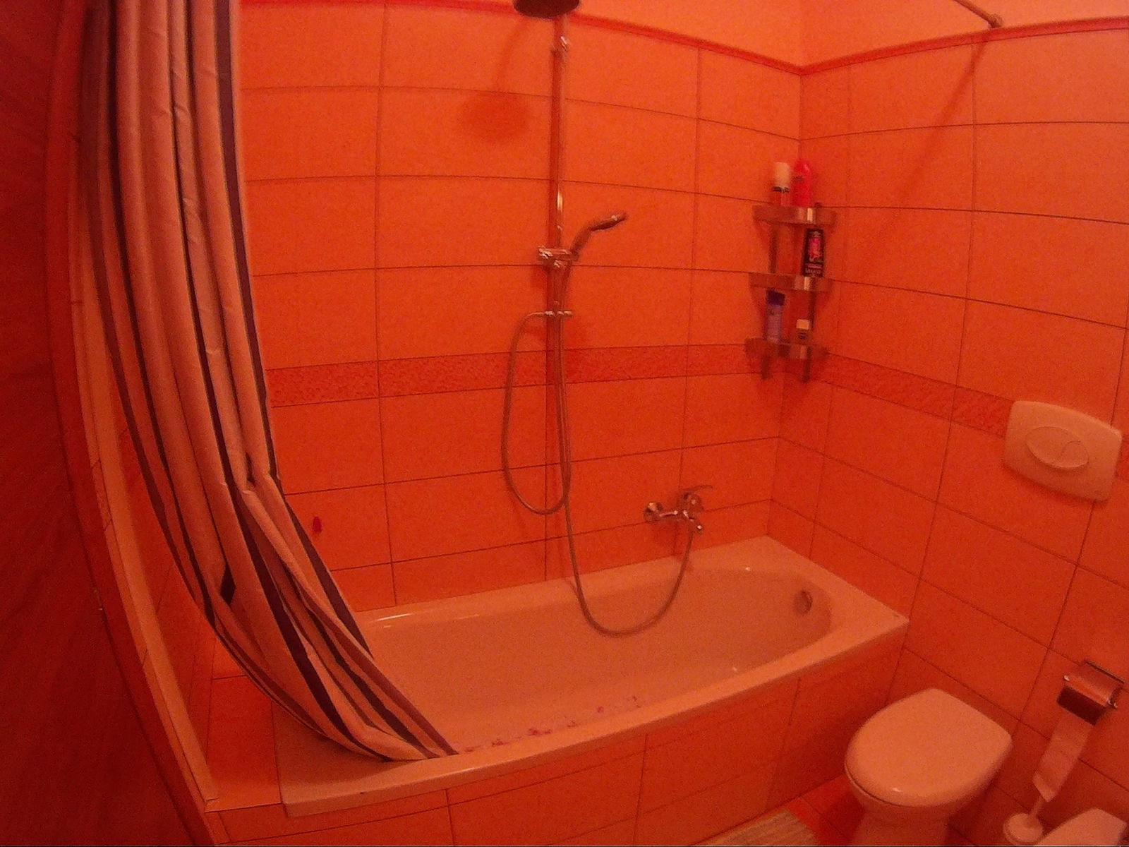 Independent Studio Milano 91722