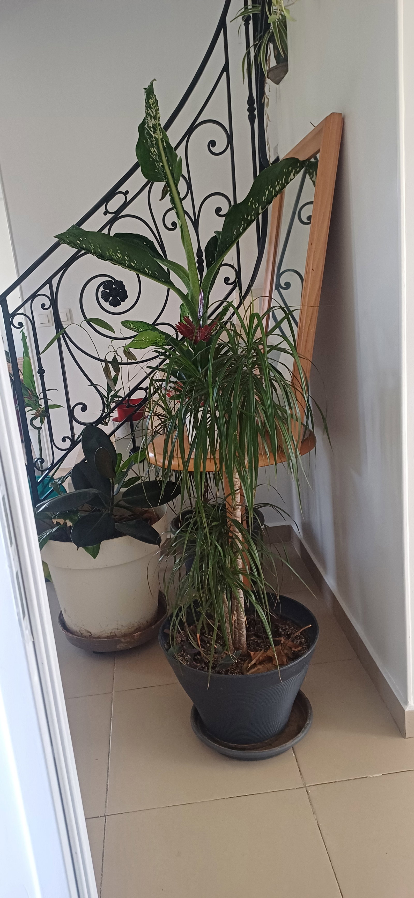 Homestay Quincy-Voisins 264497