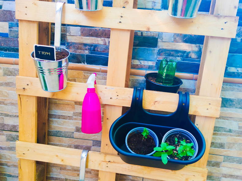 Colocatie Toulouse 250225-2