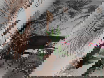 Colocation Toulouse 250225-9