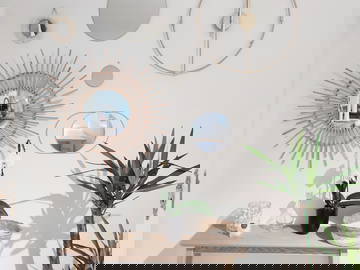 Colocation Toulouse 250225-14