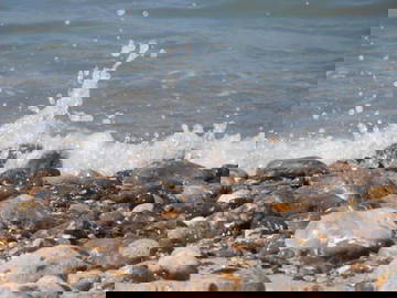 Logement Entier Quiberville 262195-19