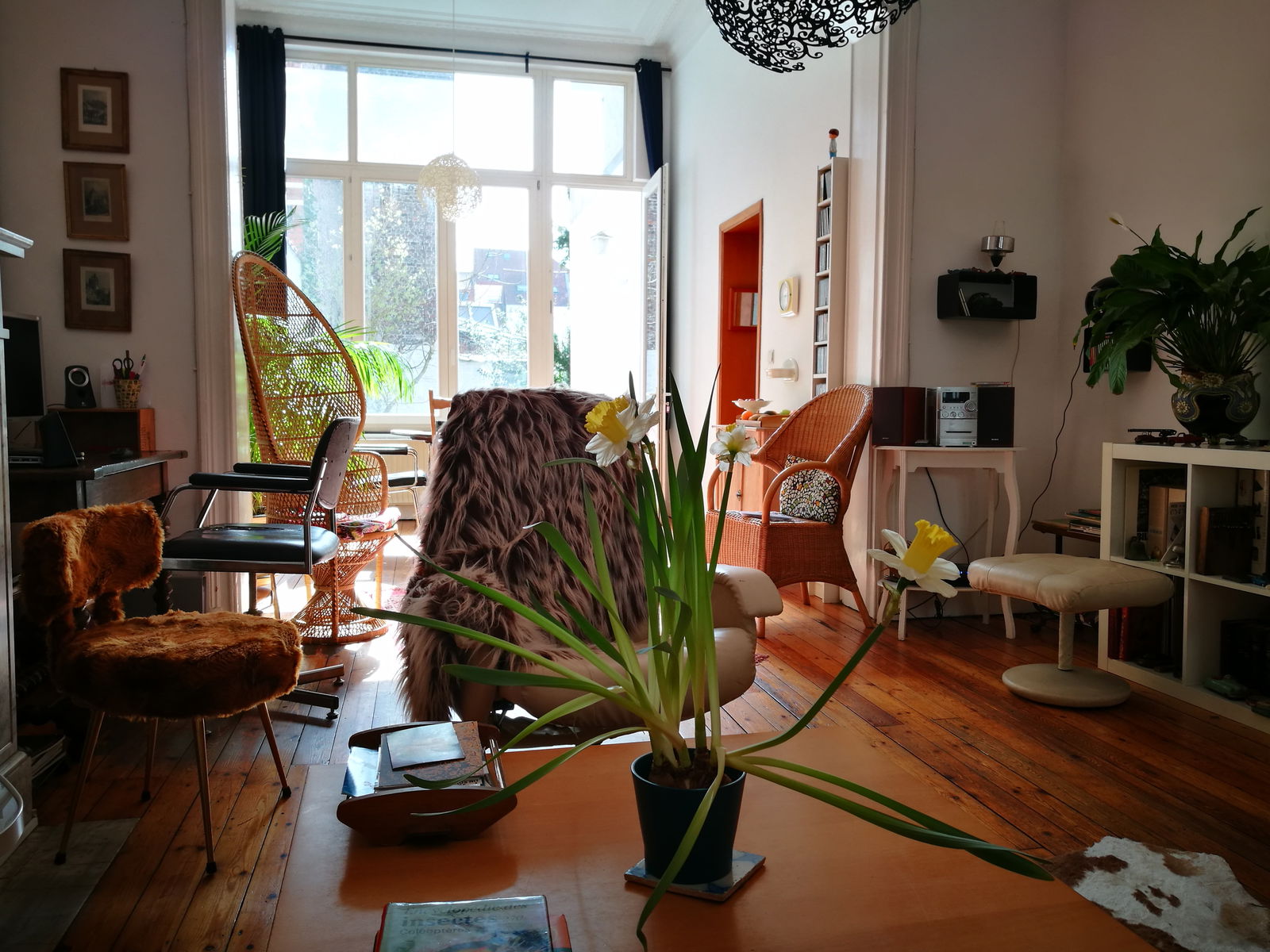 Homestay Ixelles 212558