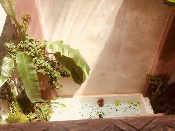 Famiglia Marrakech 204894-7