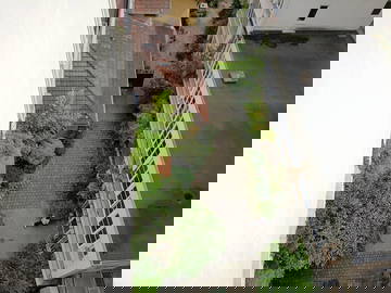 Chambre Chez L'habitant Paris 340013-8