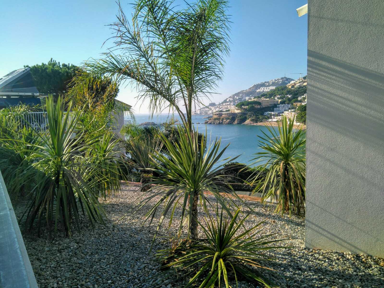 Tutta La Casa Roses 175812