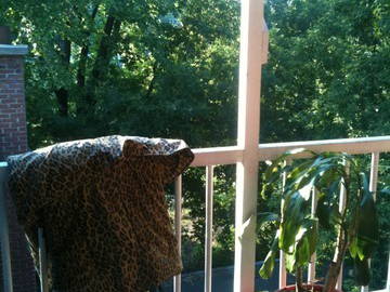 Colocation Montréal 31471-8