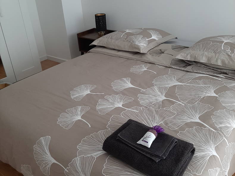 Colocation Annemasse 357689-1