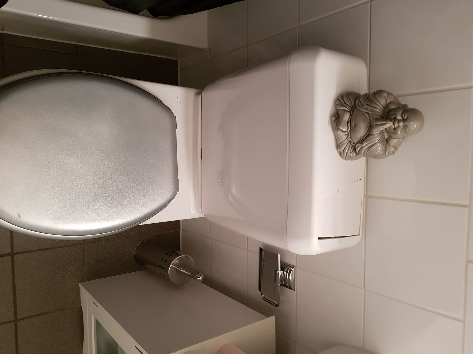 Chambre Chez L'habitant Collex-Bossy 178853