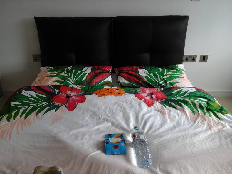 Gastgezin Londres 91758-1