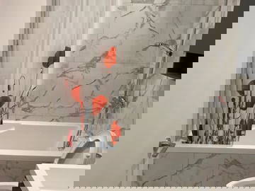 Logement Entier Montréal 262210-11