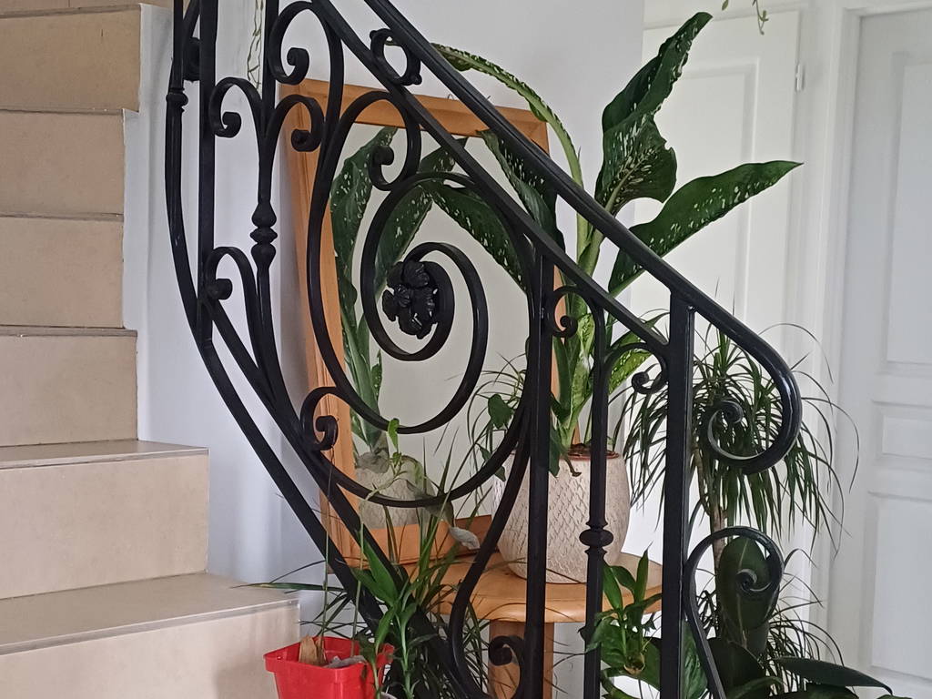 Chambre Chez L'habitant Quincy-Voisins 264497-1