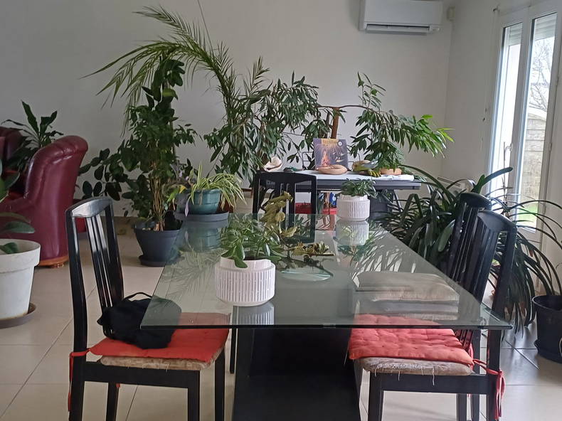 Chambre Chez L'habitant Quincy-Voisins 264497-4