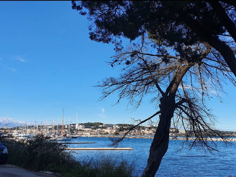 Homestay Martigues 487866