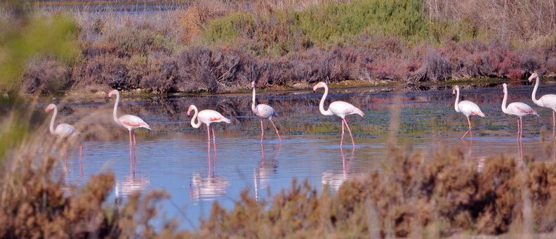 Onafhankelijke Studio Hyères 115635