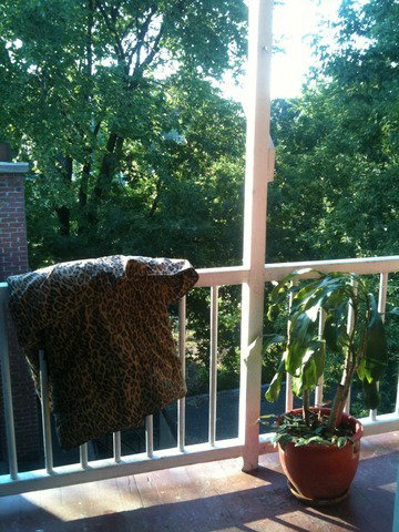 Collocazione Montréal 31471