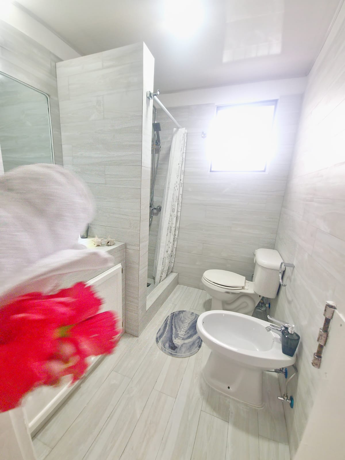 Onofhängeg Studio Dominicus 114470