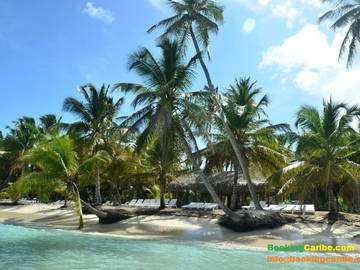 Logement Entier Dominicus 114470-6