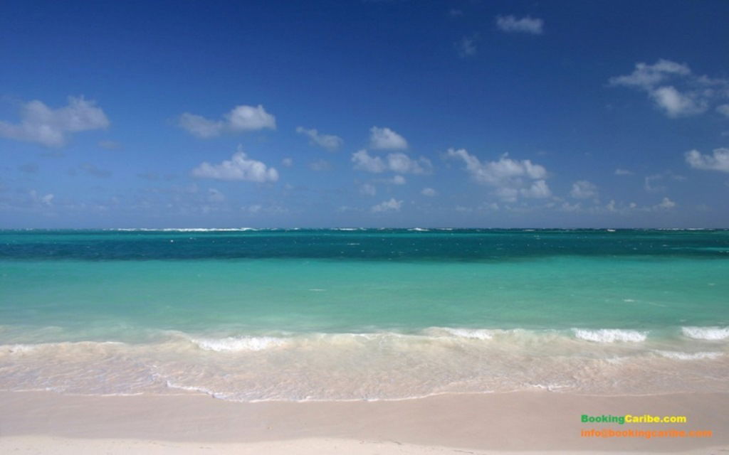 Independent Studio Dominicus 114470
