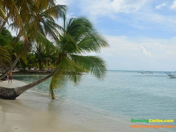 Logement Entier Dominicus 114470-24