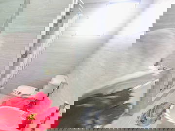 Logement Entier Dominicus 114470-8