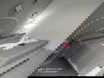 Logement Entier Dominicus 114470-9