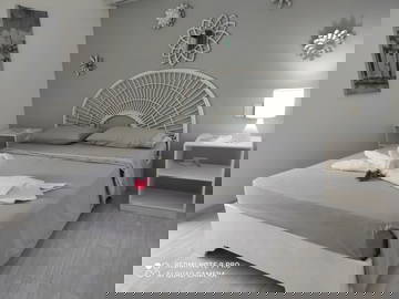 Logement Entier Dominicus 114470-10