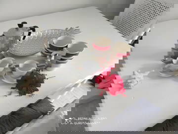 Logement Entier Dominicus 114470-16