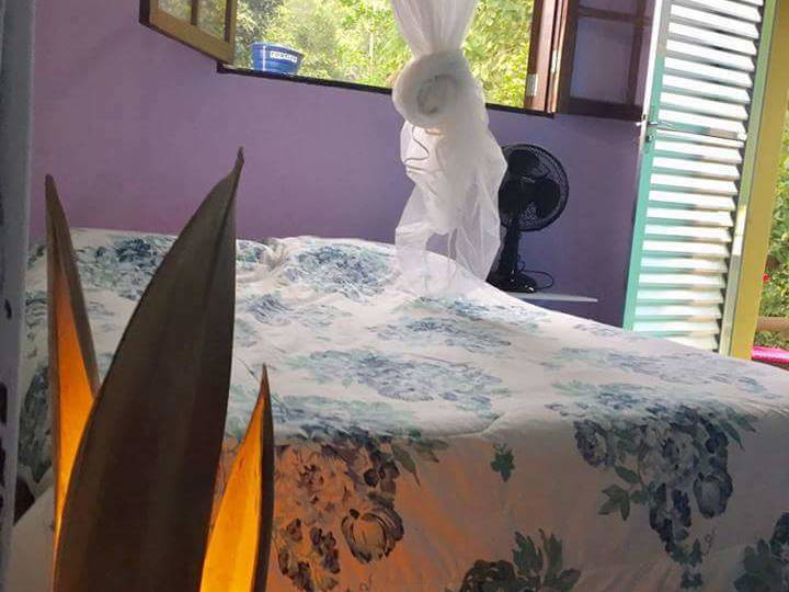 Toda La Casa São Paulo 186683-1