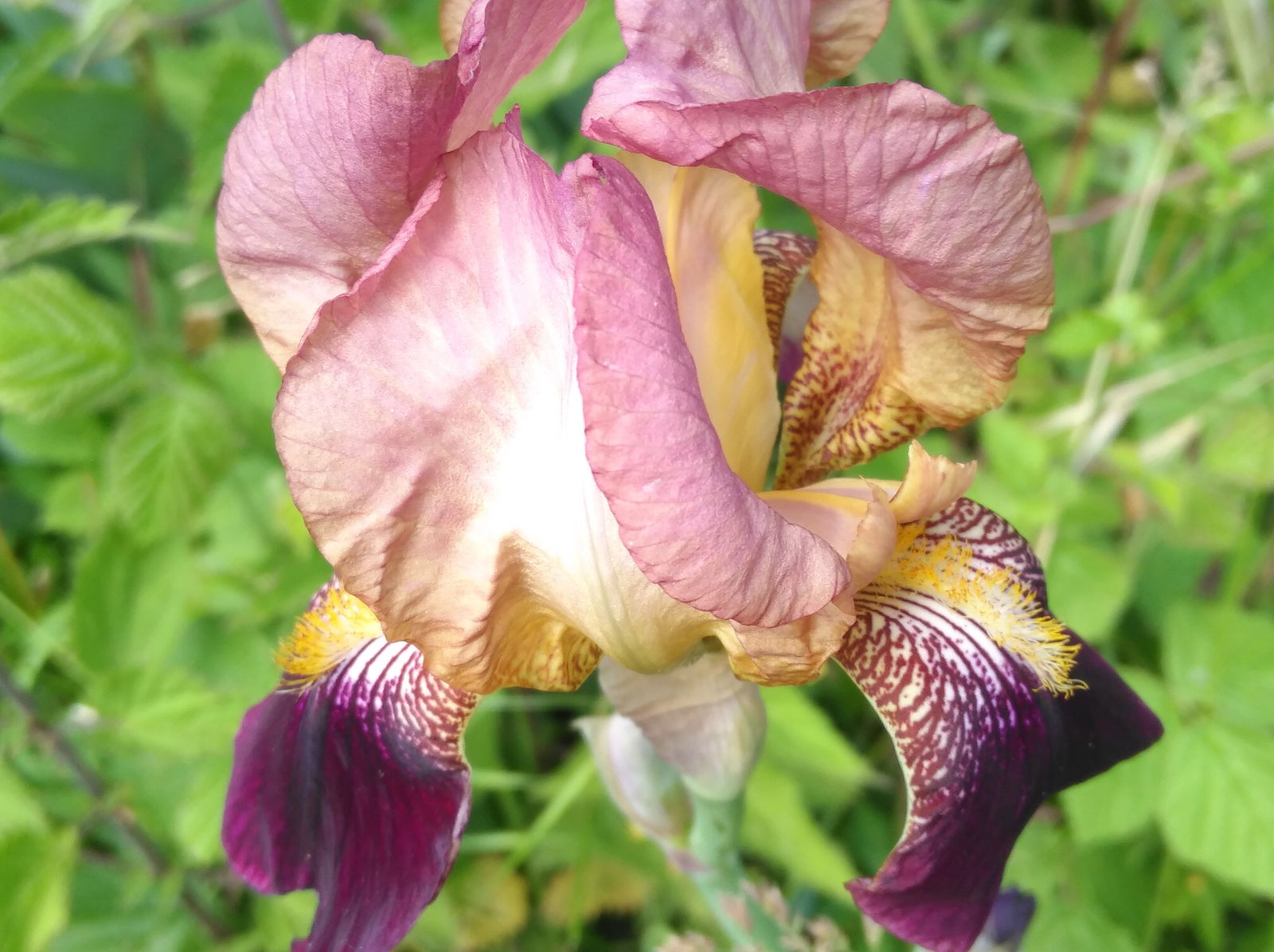 Hemvistelse Bassillac et Auberoche 392991