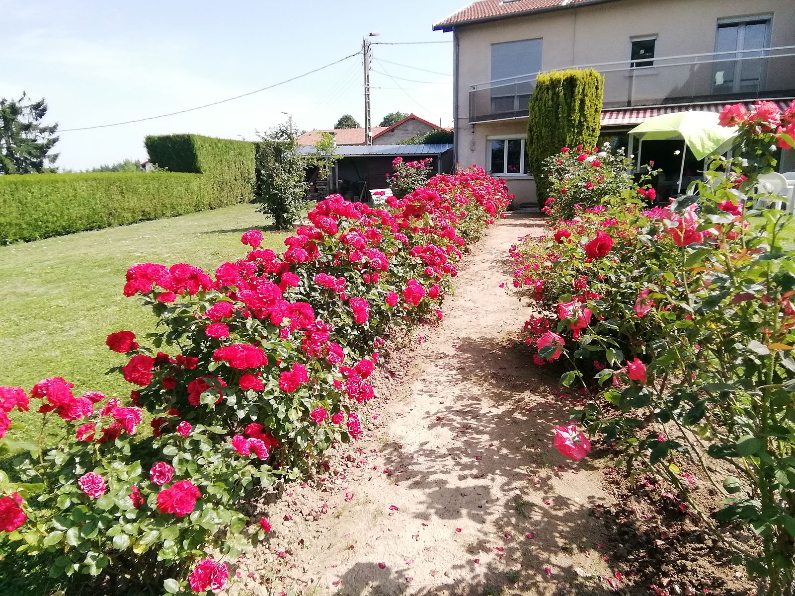 Homestay Violay 350898