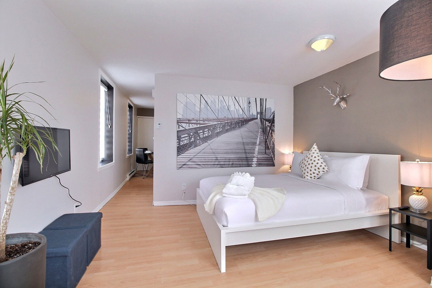 Niezależne Studio Québec 457860