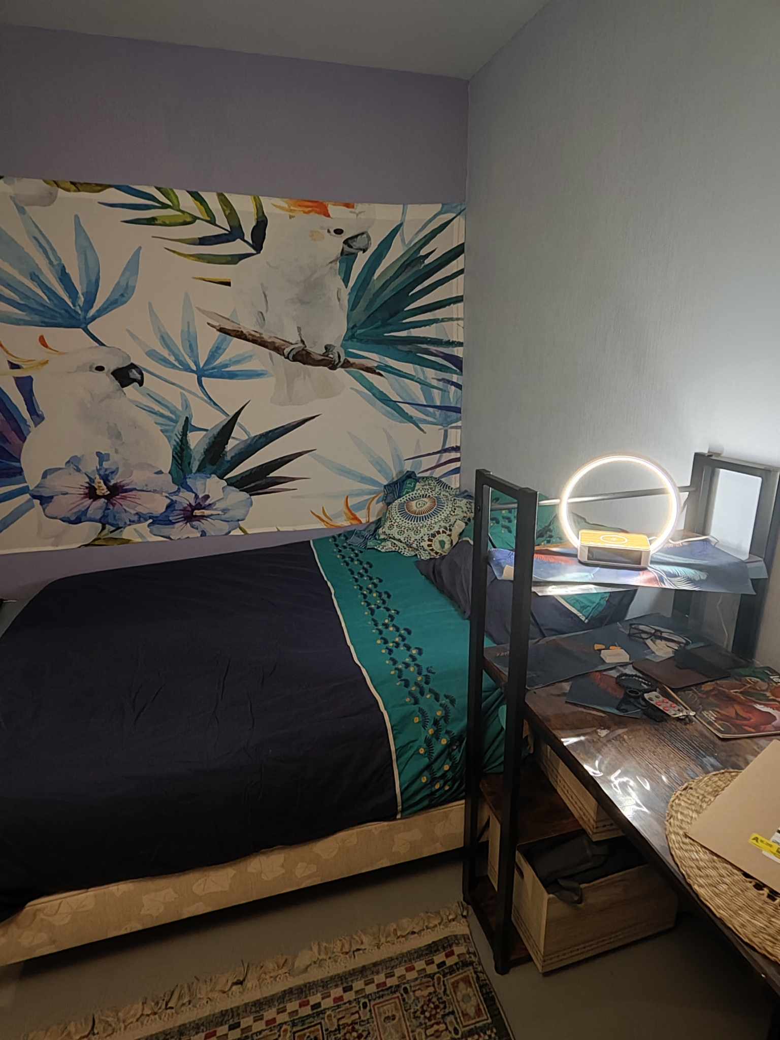 Niezależne Studio Saint-Louis 516610