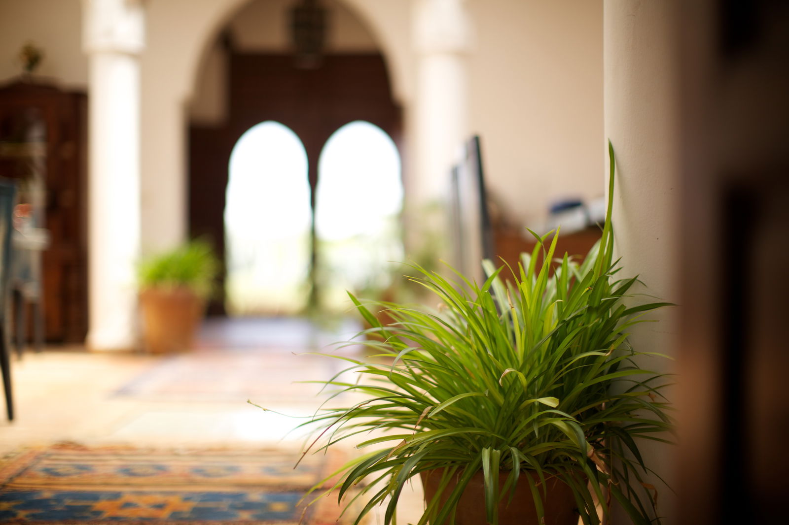 Bed And Breakfast Marrakech 169050