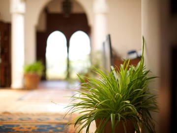 Chambre D'hôte Marrakech 169050-9