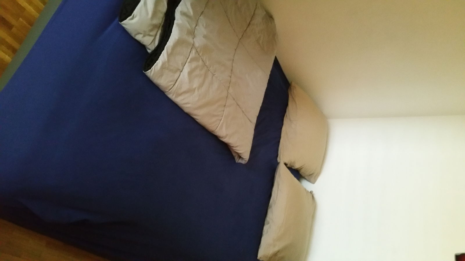 Chambre Chez L'habitant Collex-Bossy 164794