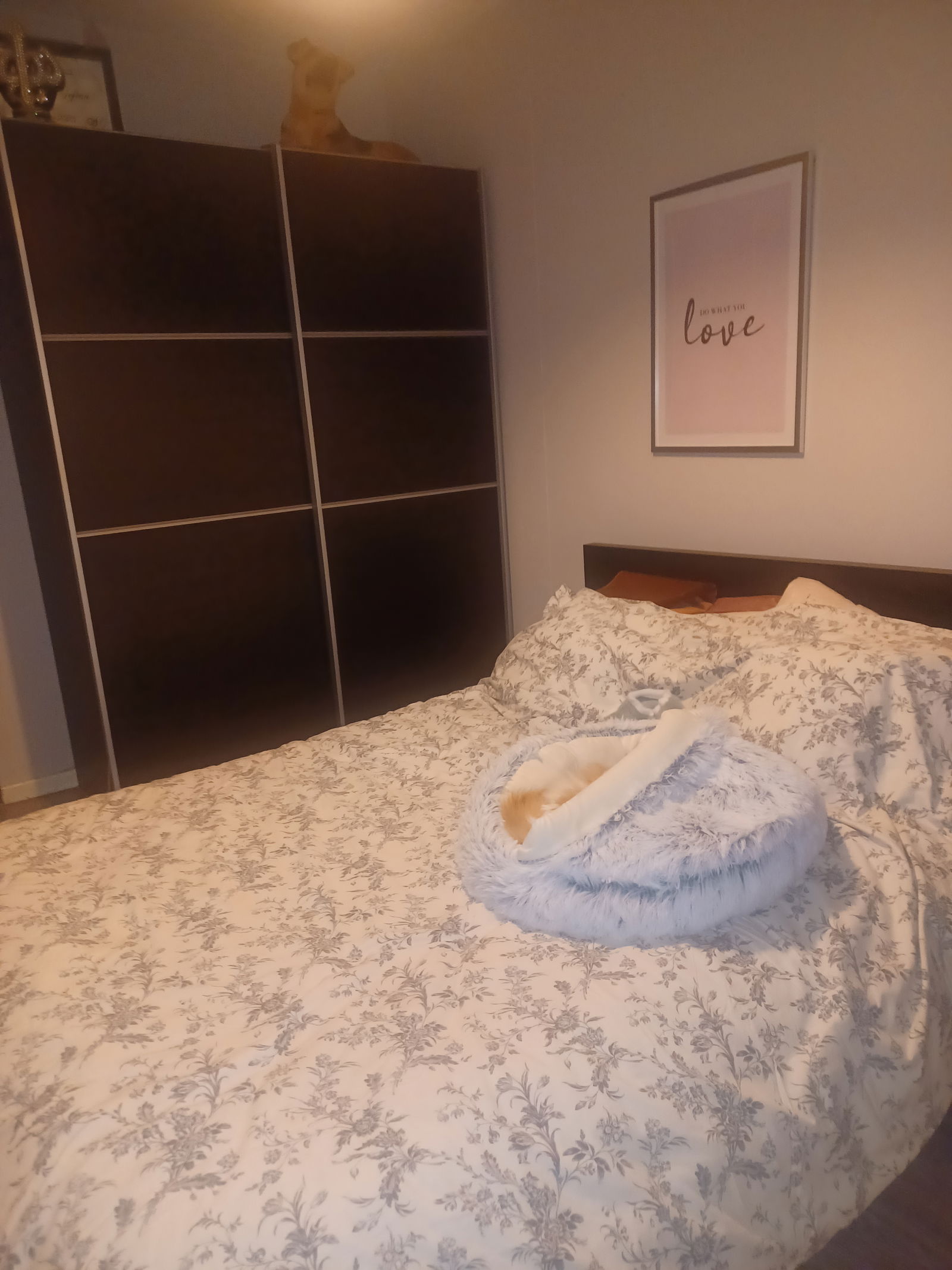 Zakwaterowanie U Rodziny Saint-Chamond 469866