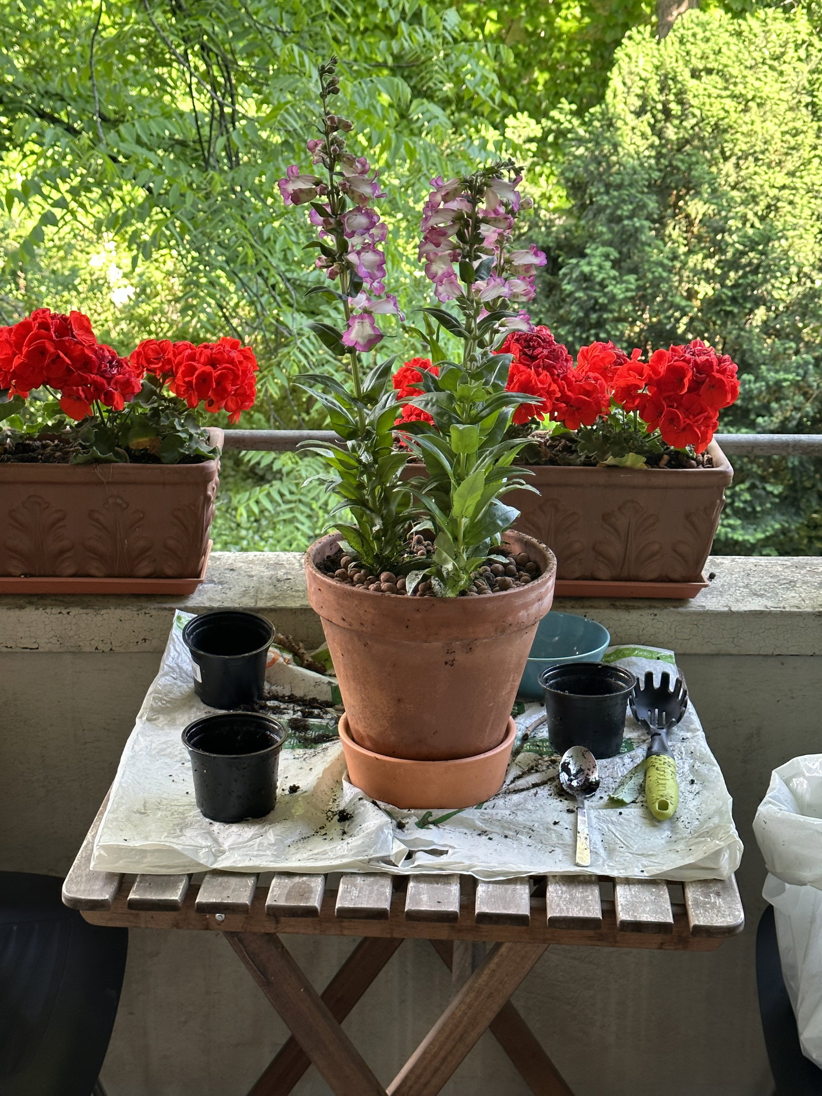 Zakwaterowanie U Rodziny Basel 528850