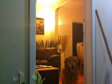 Roomlala | Szukam umeblowanego mieszkania do wynajęcia w mieszkaniu dzielonym lub osobnym
