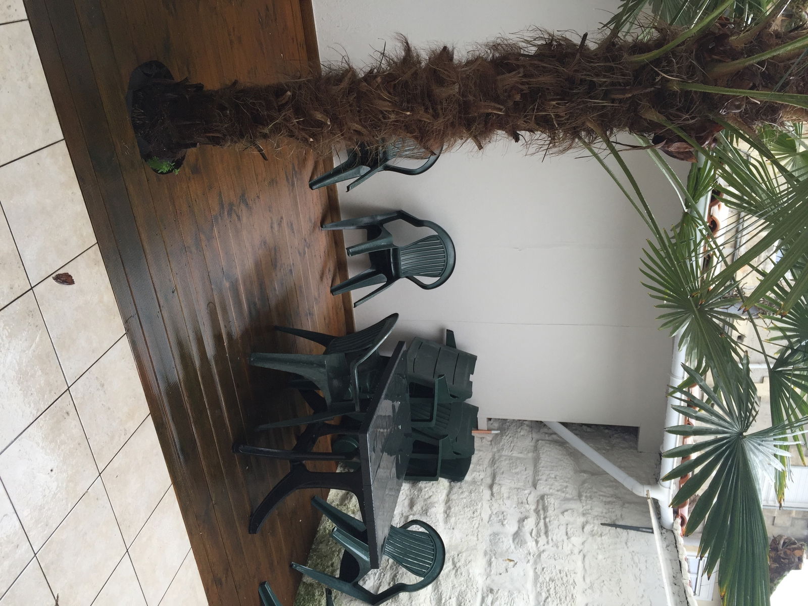 Kolokacja Bordeaux 122483