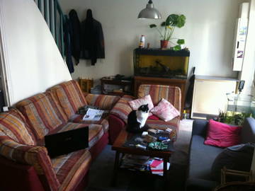 Roomlala | Szukam współlokatora do dużego domu
