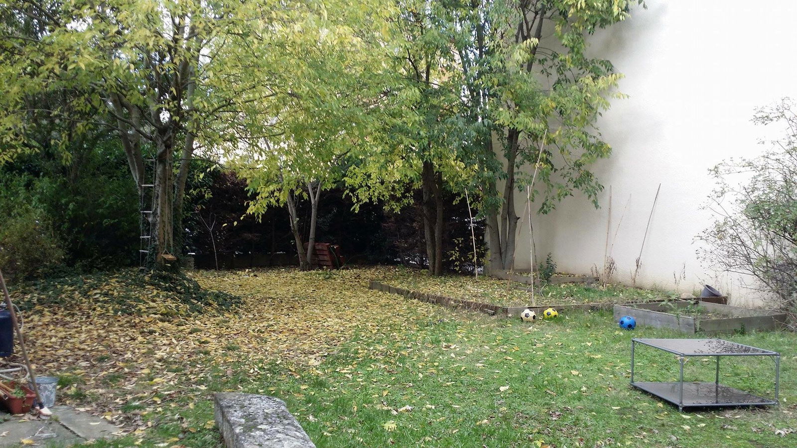 Kolokacja Toulouse 152974