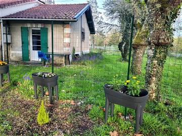 Habitación En Alquiler Louchats 265900-1