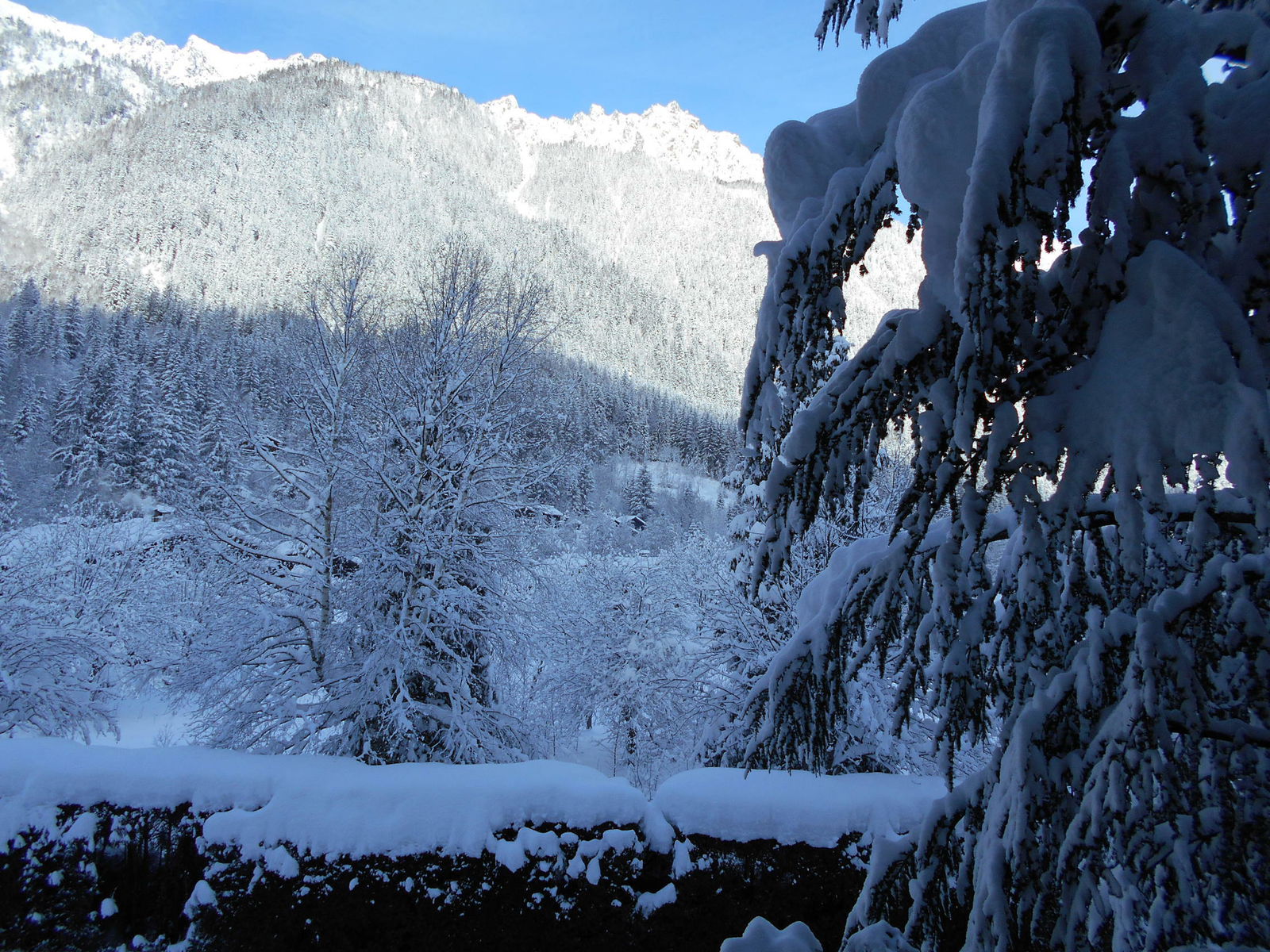 Uafhængigt Studie Chamonix-Mont-Blanc 96884