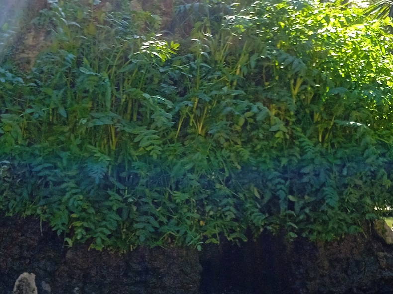 Quedarse En Casa Nantes 387888-1